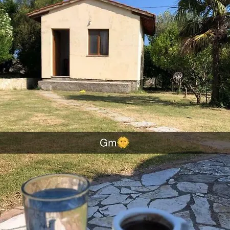 Paradise Family Oda ve Kahvaltı